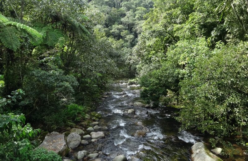 Rio Preto em Maringá, Visconde de Mauá