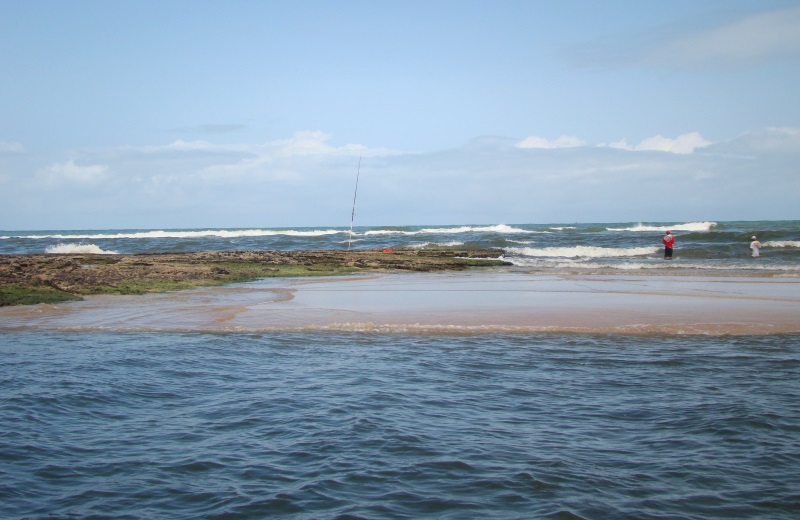 Passeio em Dunas de Marapé, no litoral sul de Alagoas