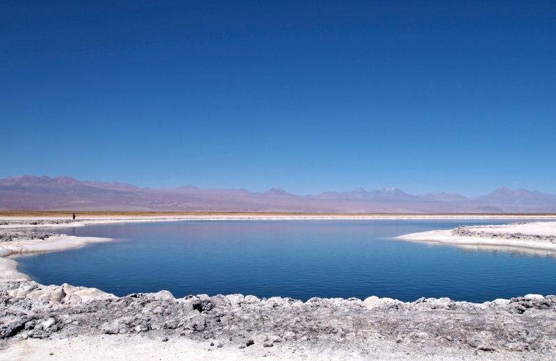 Laguna Cejar, passeio no Deserto do Atacama