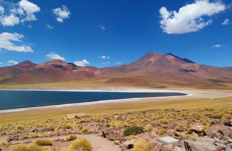 Lagunas Altiplânicas, um dos passeios no Deserto do Atacama