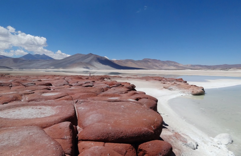 Piedras Rojas, um dos passeios no Deserto do Atacama