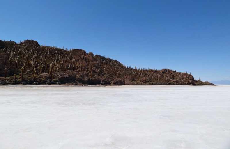 Isla del Pescado no Salar de Uyuni, Bolívia