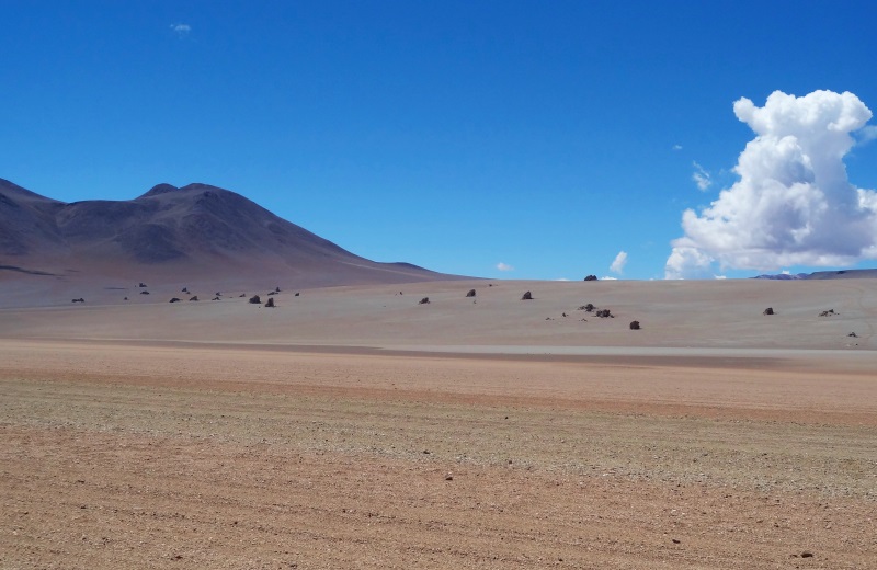 Deserto de Dali, Bolívia