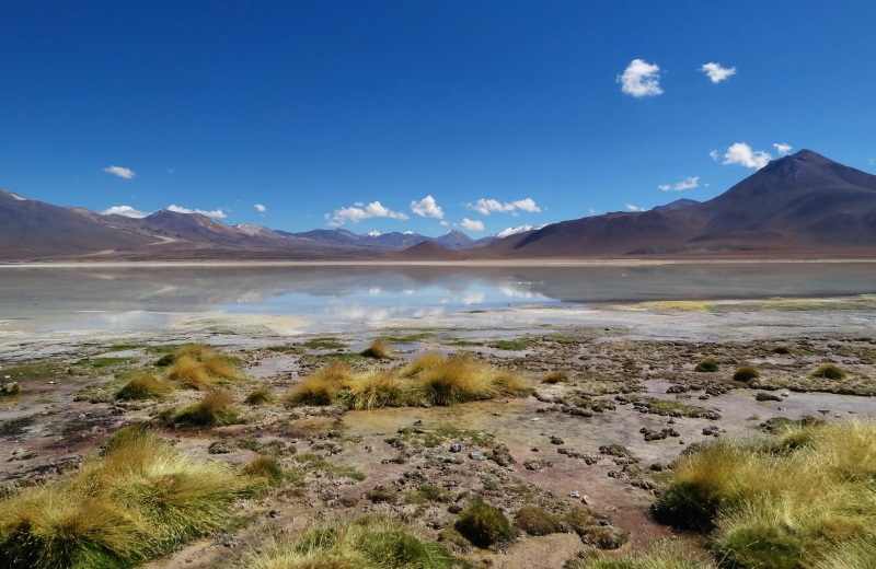 Laguna Blanca no tour ao Salar de Uyuni, Bolívia