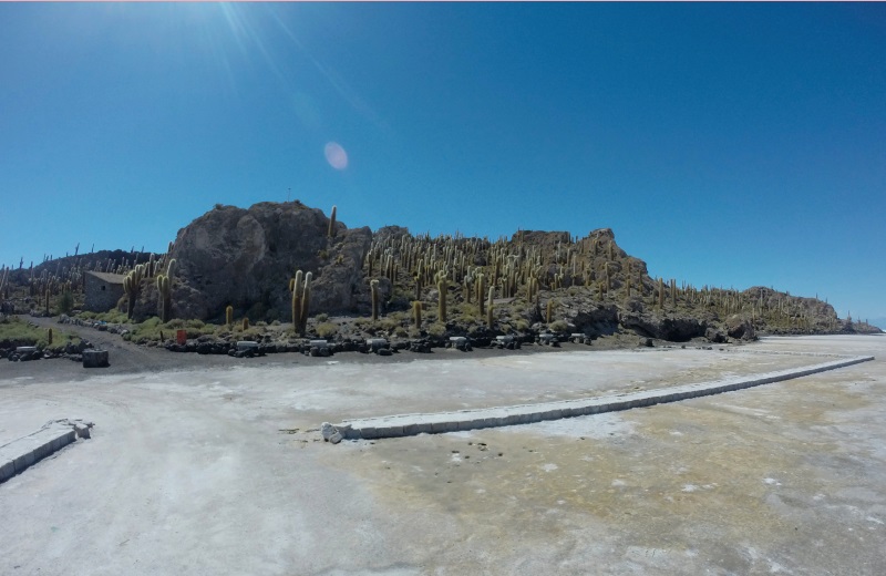 Isla Incahuasi ou Isla del Pescado no Salar de Uyuni